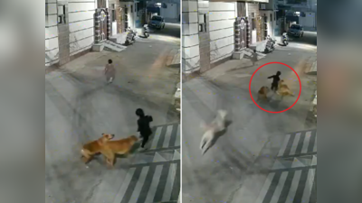 आज का वायरल वीडियो: गली से जाते मासूम बच्चों को आवारा कुत्तों ने घेरकर गिराया, मां चीखते हुए दौड़ी, वायरल वीडियो डरा देगा