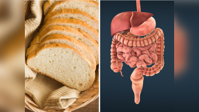 Gut Health Food: वाइट ब्रेड या ब्राउन ब्रेड, जानिए पेट की हेल्थ के लिए कौन सी अच्छी है