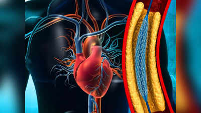 Hypertension Main Cause: वैज्ञानिकों का दावा- आपके बॉडी में छिपा बैठा है हाई ब्लड प्रेशर का असली कारण