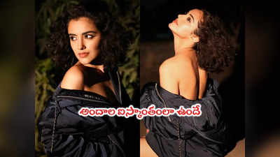 Malvika Sharma: వామ్మో అనిపించిన భీమా బ్యూటీ.. మాళవిక శర్మ కొత్త ఫొటోలు 