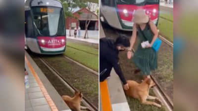 रेलवे ट्रैक मौज में बैठा था कुत्ता, ट्रेन ड्राइवर बजाता रहा हॉर्न, फिर प्लेटफॉर्म पर खड़े यात्रियों ने दिल जीत लिया
