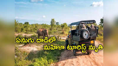 Elephant Attack: సఫారీ వాహనంపై ఏనుగు దాడి.. టూరిస్ట్ మృతి.. భయానక వీడియో 