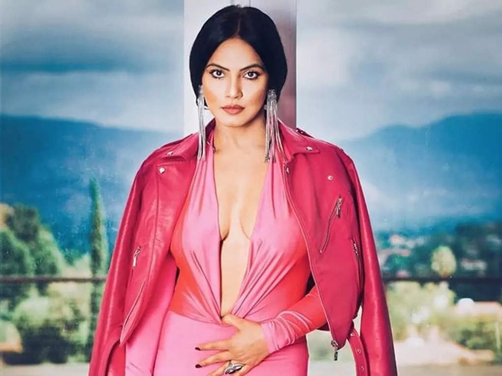 actress-neetu-chandra