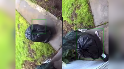 Chor Ka Video: अचानक खुद चलने लगी कचरे की थैली, CCTV में कैद हुआ चोर का गेट से पार्सल चुराने का भयंकर जुगाड़