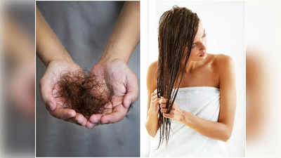 Hair Oil Benefits: চুল পড়া নিয়ে নাজেহাল? জেনে নিন সপ্তাহে কত দিন তেল মাখলে বন্ধ হবে হেয়ার ফল
