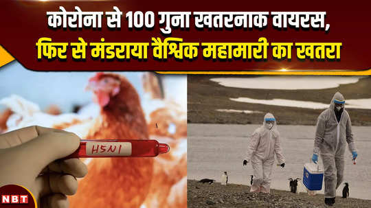 bird flu pandemic virus 100 times more dangerous than corona then the threat of a global epidemic looms