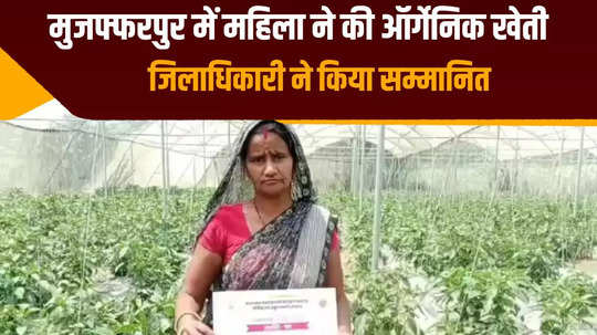 muzaffarpur a woman farmer made a name for herself through organic farming and increased her income from capsicum cultivation