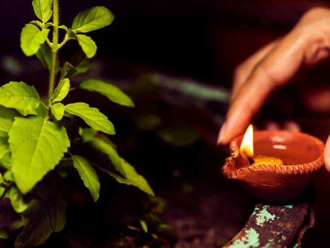 ​ತುಳಸಿಯನ್ನು ಪೂಜಿಸಿ