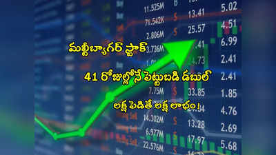 Multibagger: 41 రోజుల్లోనే పెట్టుబడి డబుల్.. రూ.22 కోట్ల కొత్త ఆర్డర్‌తో దూసుకెళ్లిన స్టాక్! 