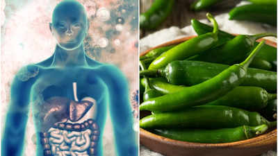 Green Chilli Benefits: ঝালের ভয় দূর করে রোজ খান কাঁচা লঙ্কা, তাতেই বাড়বে রোগ প্রতিরোধ ক্ষমতা!