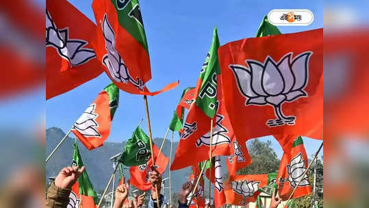 BJP In West Bengal : দলের প্রতিষ্ঠা দিবসেও ২০০ চেয়ার ভরাতে পারল না বিজেপি