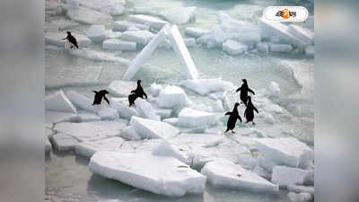 Antarctica Temperature : আন্টার্কটিকায় তাপমাত্রার বিশ্বরেকর্ড, ক্রমবর্ধমান উষ্ণতায় উদ্বেগ বিজ্ঞানীদের
