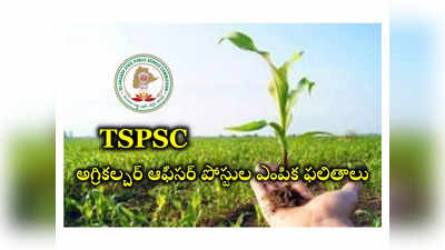 TSPSC : టీఎస్‌పీఎస్సీ అగ్రికల్చర్ ఆఫీసర్ పోస్టుల ఎంపిక ఫలితాలు విడుదల.. ఎంపికైన వారి జాబితా ఇదే