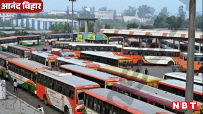 दोनों ट्रांसपोर्ट जंक्शन क्यों हैं महत्वपूर्ण