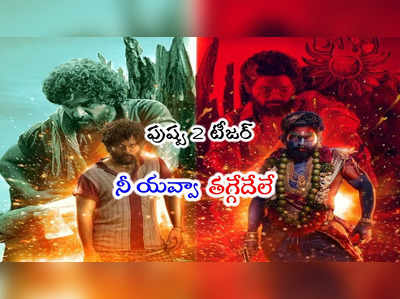 ఇది కదా జాతరంటే.. పుష్ప 2 టీజర్ బ్లాస్ట్.. మాములుగా లేదయ్యా