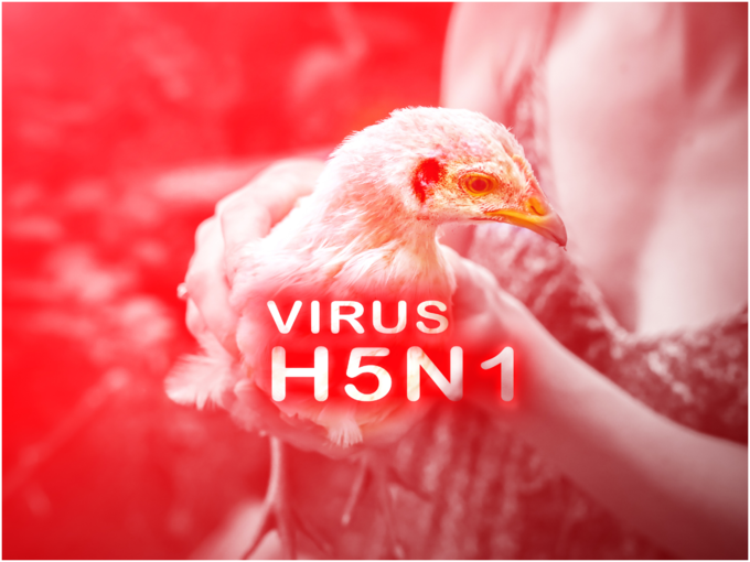 H5N1 ಹಕ್ಕಿ ಜ್ವರವನ್ನು 1996ರಲ್ಲಿ ಮೊದಲಾಗಿ ಗುರುತಿಸಲಾಗಿತ್ತು