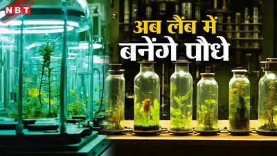दिल्ली की लैब में उगाए जाएंगे गायब हो रहे पौधे, जानिए वैज्ञानिक कैसे करेंगे ये करिश्मा