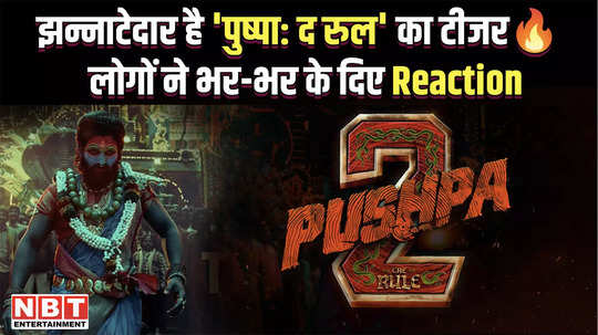 teaser of allu arjun pushpa the rule released watch people reactions on social media