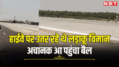 Highway Landing: सांचौर में IAF के तेजस और जगुआर लड़ाकू विमान हाईवे पर उतरे, प्रैक्टिस के दौरान एक बैल भी आ धमका