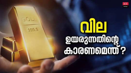 major reasons for gold price rising day by day