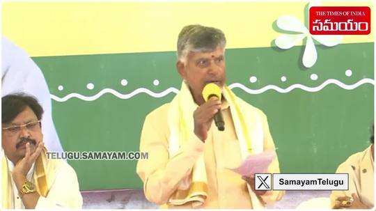 chandrababu naidu promises salary hike to ap volunteers if elected to power