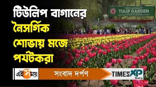 tulip garden in srinagar tourists gathering here for more details watch bengali video