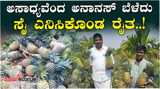 despite the caution from agriculture experts and fellow farmers this haveri farmer grow pineapple with good harvest in haveri