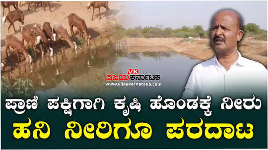 koppal farmer providing water to animals and birds during severe drought