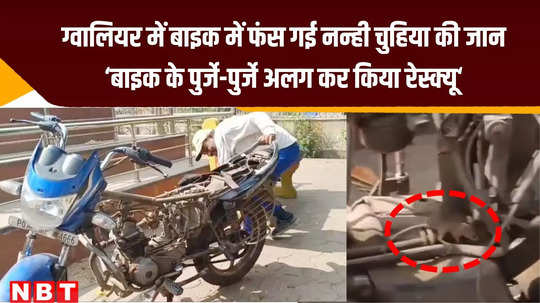 gwalior news man opened every parts of his bike to rescue mouse trapped between wire watch video