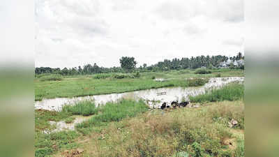 ಬೆಂಗಳೂರು ಗ್ರಾಮಾಂತರದಲ್ಲಿ ಬಹುತೇಕ ಕೆರೆಗಳು ಖಾಲಿ ಖಾಲಿ, ಅಭಿವೃದ್ಧಿ ಗೆ ಬೇಕಿದೆ ಕಾಯಕಲ್ಪ