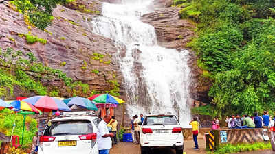 വരയാടുകൾ പിറന്നിട്ടും, നീലവസന്തം വിടർന്നിട്ടും മുന്നാറിലേക്ക് സഞ്ചാരികളെത്തുന്നില്ല; കാരണമെന്ത്?