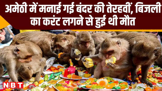amethi villagers organise funeral feast over death of a monkey up news video