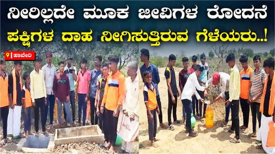 cry of animals without drinking water model work by haveri youths