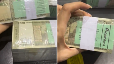 500 Rupee Note Fake Bundle: आंख मूंद कर लेते हैं 500 रुपये के नोटों की गड्डी? इस वायरल वीडियो ने लोगों को भयंकर झटका दे दिया
