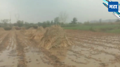 गारपीट, वादळी वारा, अवकाळी पावसाने बीड जिल्ह्याला झोडपलं; शेतकऱ्यांच्या हाता-तोंडाशी आलेलं पीक जमीनदोस्त
