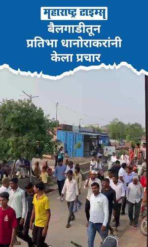 pratibha dhanorakar campaigned in a bullock cart