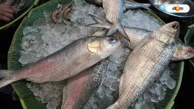 Hilsa Fish : নববর্ষে পান্তা-ইলিশ খাওয়ার রেওয়াজ বাংলাদেশে, মাছ কিনতেই পকেট ফাঁকা