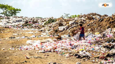 Pollution In Bangladesh : বড় বিপদ আসতে চলেছে! দূষণ নিয়ে সতর্কতা বাংলাদেশে