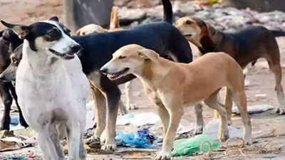 Deoria Dog Attack: देवरिया में आवारा कुत्ते झुंड में टूट पड़े, चार साल की बच्ची की मौत