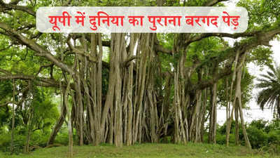 Virasat Express: उत्तर प्रदेश के इस शहर में है बरगद का 500 साल पुराना पेड़, विदेश से भी आते हैं लोग देखने