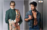 Amitabh Bachchan: ও তো শুধু ফিল্মে লাফিয়ে বেড়ায়... টাইগারকে কেন এমন বললেন বিগ বি?