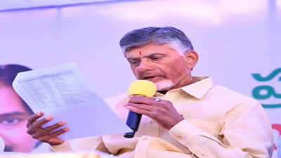 TDP: చంద్రబాబు మాస్టర్ ప్లాన్.. టికెట్ దక్కని టీడీపీ నేతల కోసం ప్రత్యేకంగా!