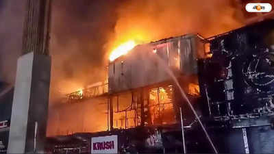 Fire In Kolkata : নববর্ষ-সন্ধ্যায় চিনার পার্কে বিধ্বংসী আগুন রেস্তোরাঁয়