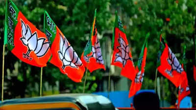 BJP ने देवरिया और फिरोजाबाद लोकसभा से काटे टिकट, 4 विधानसभा सीटों पर उपचुनाव के लिए भी नाम का ऐलान