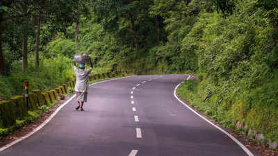 ರಸ್ತೆಗಳಲ್ಲಿ ಬಿಳಿ ಮತ್ತು ಹಳದಿ ರೇಖೆಗಳಿರುತ್ತವೆ ಏಕೆ? ಇದು ಪ್ರಯಾಣಿಕರಿಗೆ ಹೇಗೆ ಸಹಾಯ ಮಾಡುತ್ತದೆ ತಿಳಿಯಿರಿ