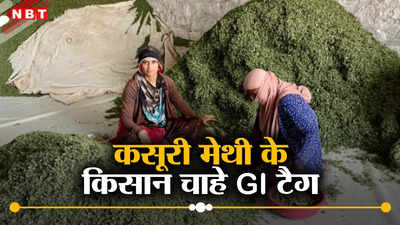 नागौर के किसानों की बदौलत आपकी रसोई में आती है खुशबू, जानिए वे क्यों चाह रहे हैं इस पर GI टैग