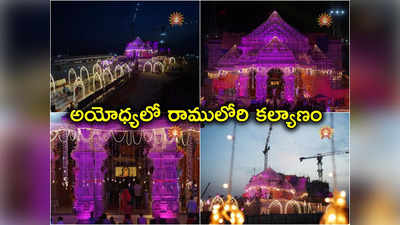 Ram Navami: రామనవమికి ముస్తాబైన అయోధ్య రామాలయం బాలరాముడి ఫోటోలు వైరల్ 