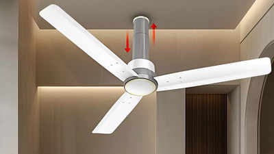 कमरे की तपन उमस को खत्म करेंगे ये बेस्ट Ceiling Fan, डिस्काउंट देखकर नहीं होगा यकीन