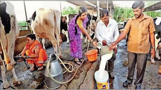 दुसरी श्वेत क्रांती कधी होणार?