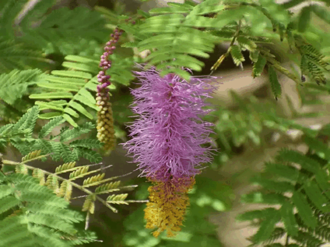 इस उपाय ग्रहों का रहेगा शुभ प्रभाव